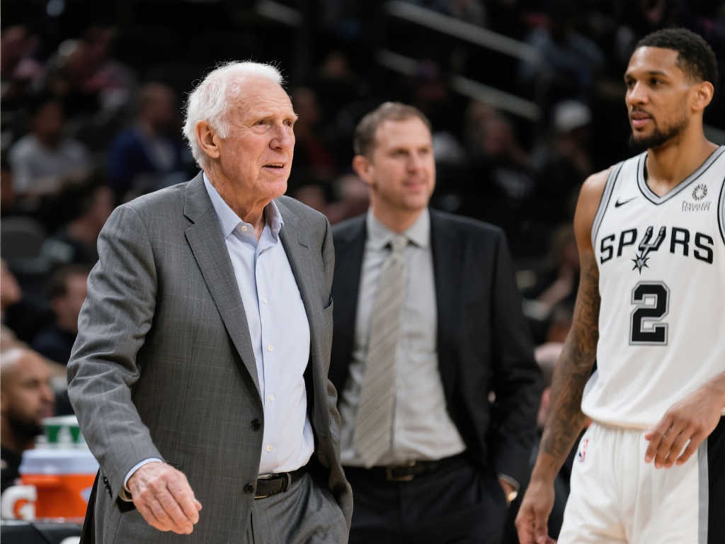 这显然属于 这显然属于